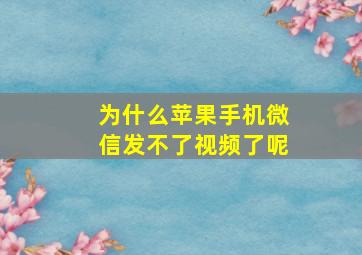 为什么苹果手机微信发不了视频了呢