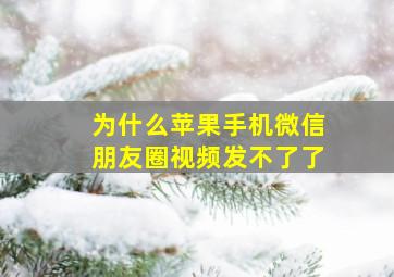 为什么苹果手机微信朋友圈视频发不了了