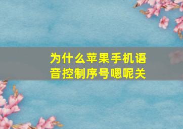 为什么苹果手机语音控制序号嗯呢关