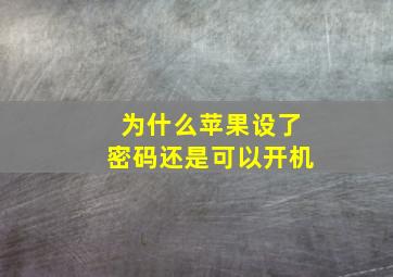 为什么苹果设了密码还是可以开机