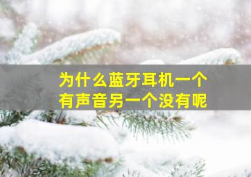 为什么蓝牙耳机一个有声音另一个没有呢