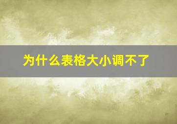 为什么表格大小调不了