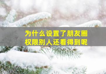 为什么设置了朋友圈权限别人还看得到呢