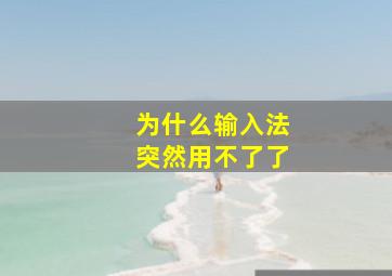 为什么输入法突然用不了了