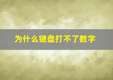 为什么键盘打不了数字