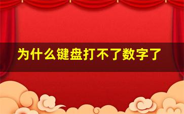 为什么键盘打不了数字了