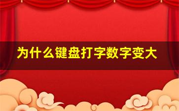 为什么键盘打字数字变大