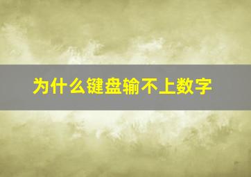 为什么键盘输不上数字