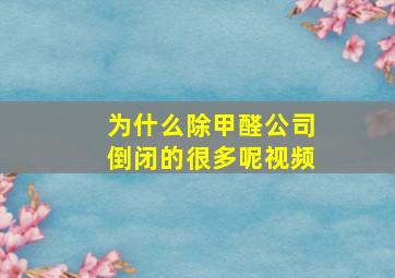 为什么除甲醛公司倒闭的很多呢视频