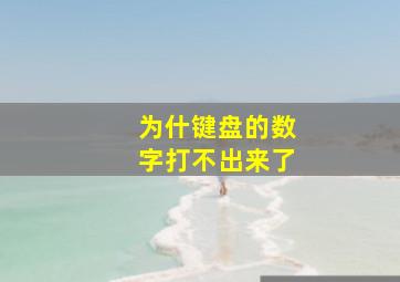 为什键盘的数字打不出来了