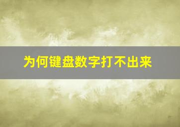 为何键盘数字打不出来