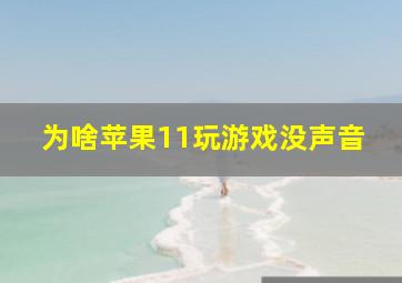 为啥苹果11玩游戏没声音