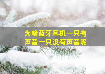 为啥蓝牙耳机一只有声音一只没有声音呢