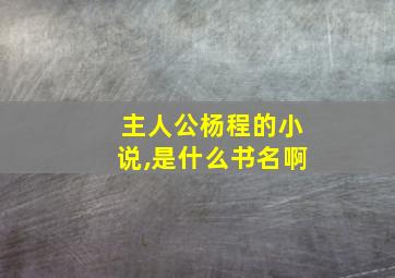 主人公杨程的小说,是什么书名啊