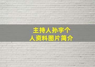 主持人孙宇个人资料图片简介