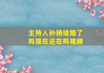 主持人孙扬结婚了吗现在还在吗视频