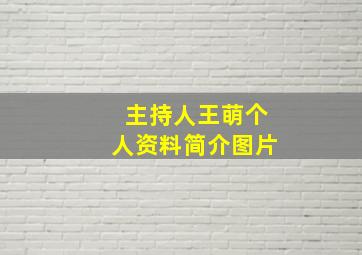 主持人王萌个人资料简介图片