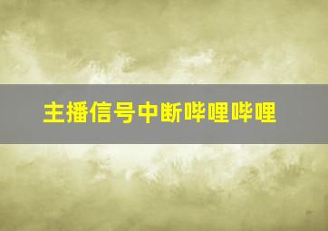 主播信号中断哔哩哔哩