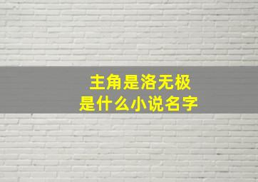 主角是洛无极是什么小说名字