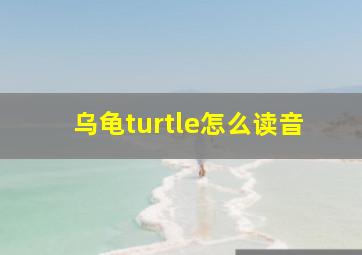 乌龟turtle怎么读音