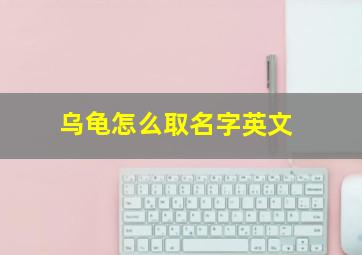 乌龟怎么取名字英文