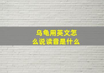 乌龟用英文怎么说读音是什么