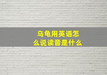 乌龟用英语怎么说读音是什么