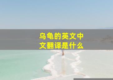 乌龟的英文中文翻译是什么