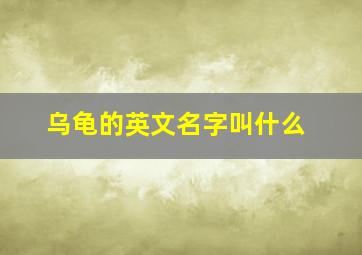 乌龟的英文名字叫什么