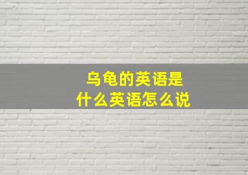 乌龟的英语是什么英语怎么说