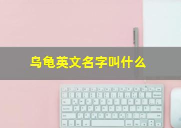 乌龟英文名字叫什么