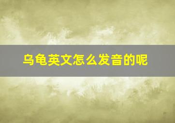 乌龟英文怎么发音的呢