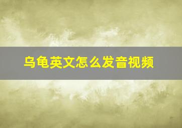 乌龟英文怎么发音视频