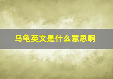 乌龟英文是什么意思啊