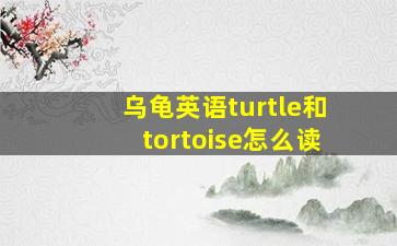 乌龟英语turtle和tortoise怎么读