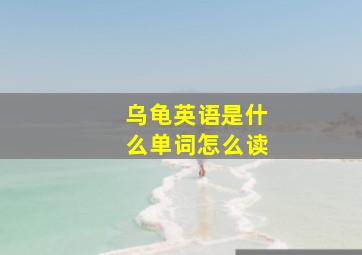 乌龟英语是什么单词怎么读