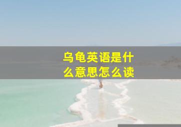 乌龟英语是什么意思怎么读