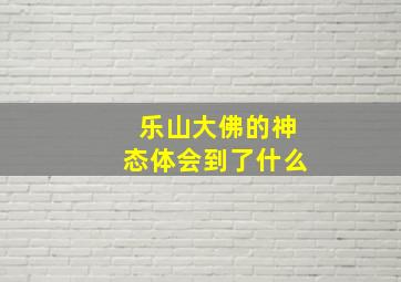 乐山大佛的神态体会到了什么