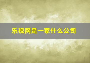 乐视网是一家什么公司