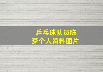 乒乓球队员陈梦个人资料图片