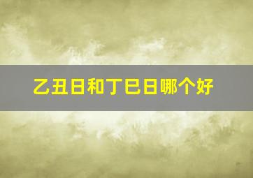 乙丑日和丁巳日哪个好