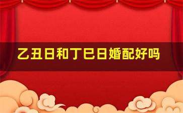 乙丑日和丁巳日婚配好吗