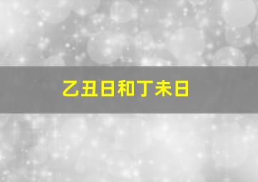 乙丑日和丁未日