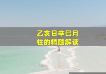 乙亥日辛巳月柱的精髓解读