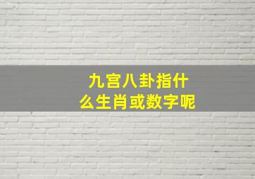 九宫八卦指什么生肖或数字呢