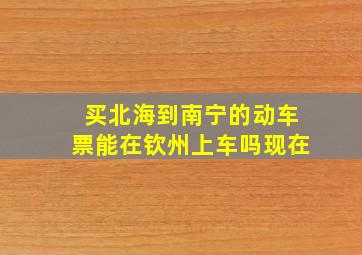 买北海到南宁的动车票能在钦州上车吗现在