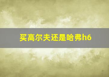 买高尔夫还是哈弗h6