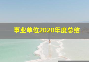 事业单位2020年度总结