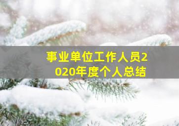 事业单位工作人员2020年度个人总结