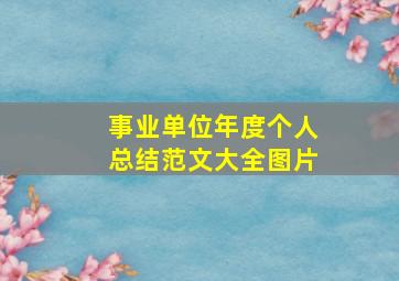 事业单位年度个人总结范文大全图片